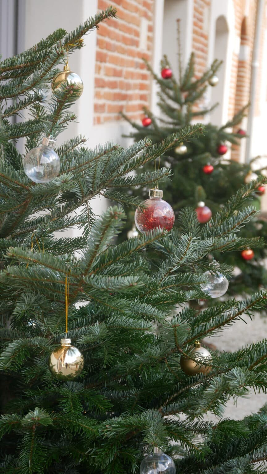 Sapin de Noël au marché de Noël au Domaine de Gailhaguet