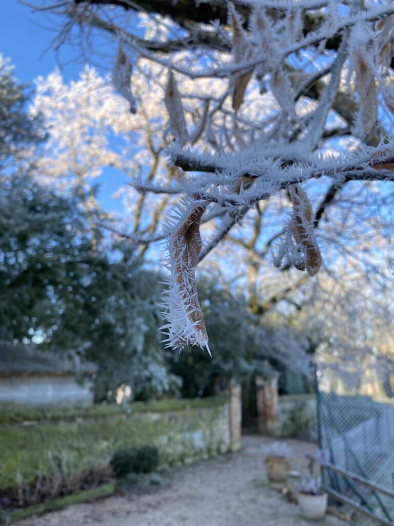 Givre au Domaine de Gailhaguet