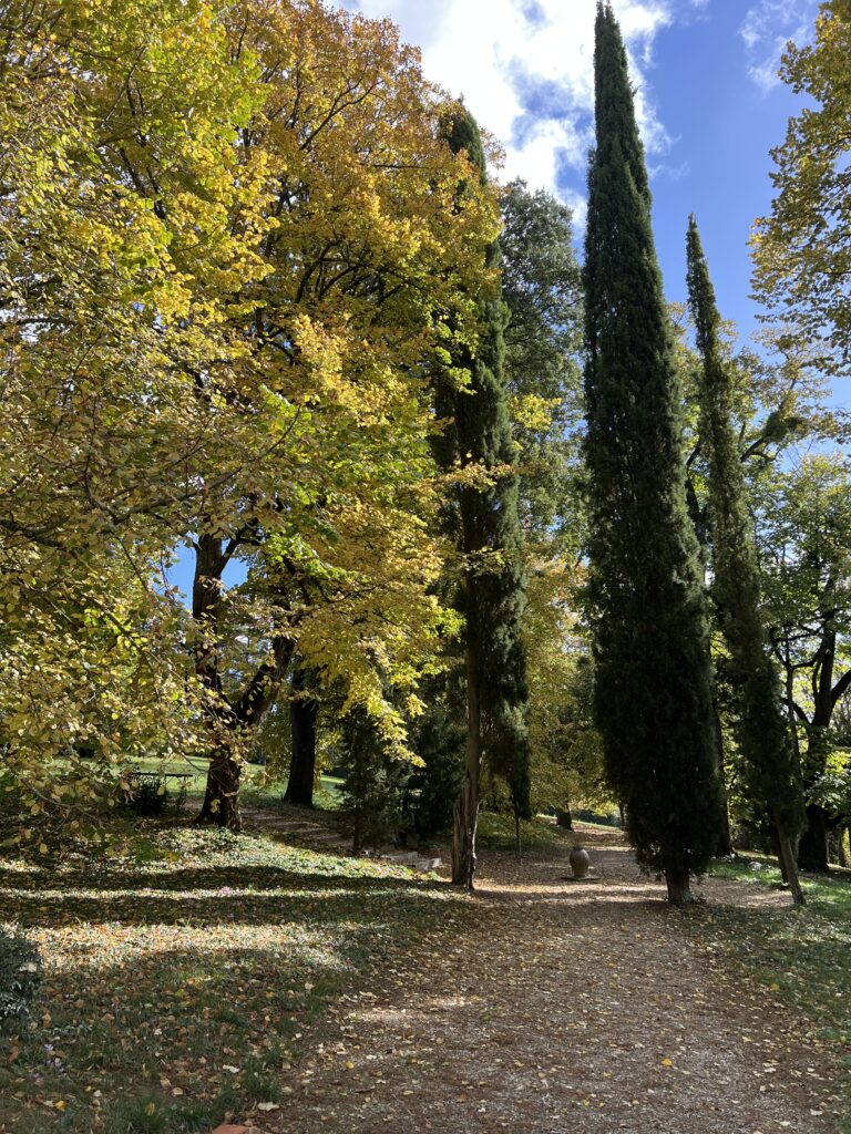 Paysage d'automne au Domaine de Gailhaguet