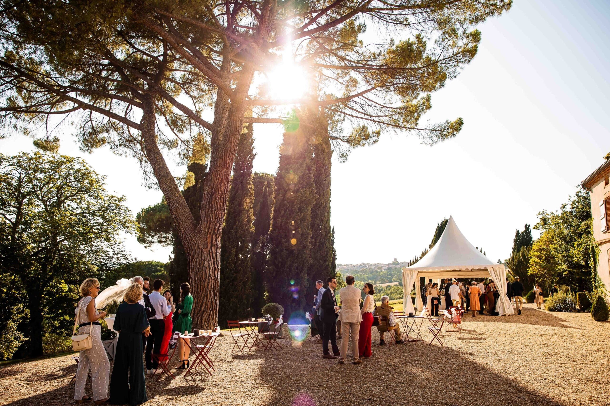 Invités profitant d’un cocktail en plein air avec le soleil filtrant à travers les arbres et vue sur le domaine
